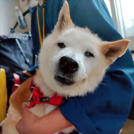 やまじぃ