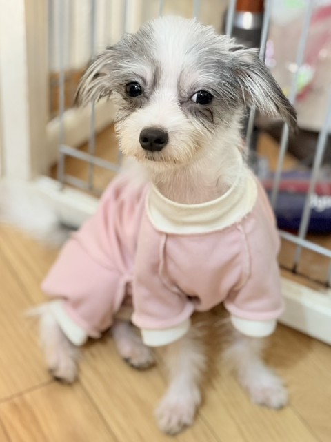 エクラ